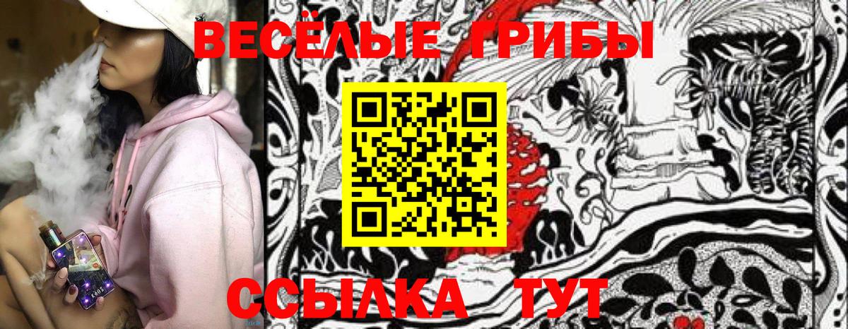 Псилоцибиновые грибы GOLDEN TEACHER  Галлюциногенные грибы мухоморы  Вход с VPN  Самара 