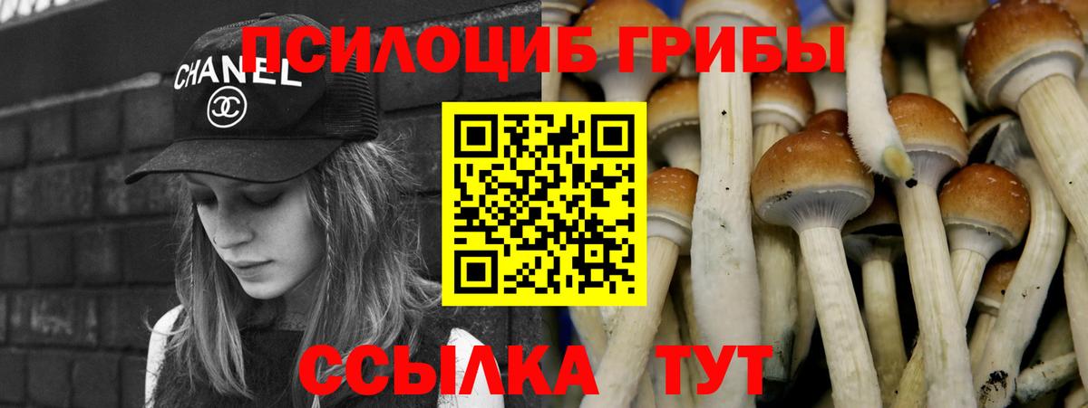 Галлюциногенные грибы мицелий Самара